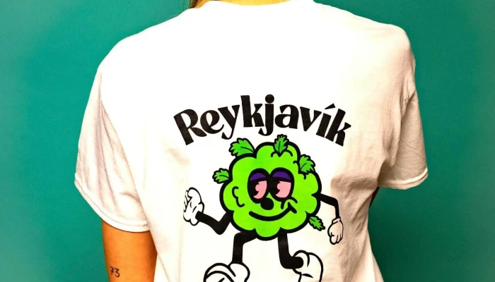 Reykjavik Headshop Fra Eiganda - Reykjavík