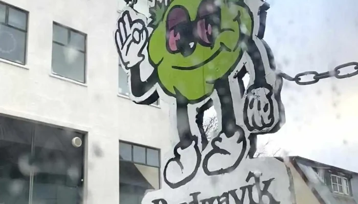 Reykjavik Headshop Verslun - Reykjavík