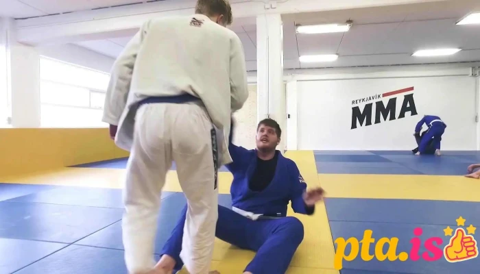 Reykjavik Mma Fra Eiganda - Reykjavík