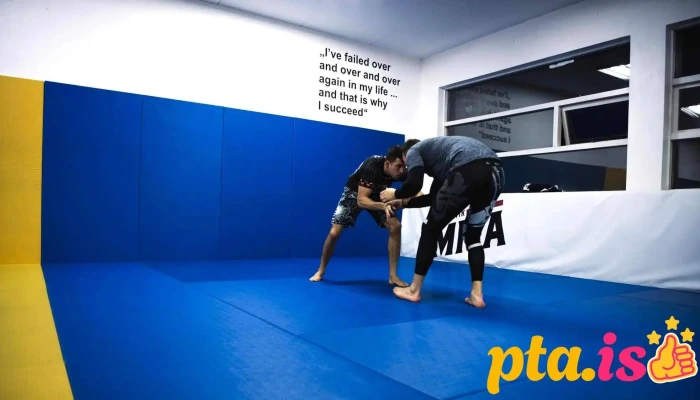 Reykjavik Mma Iþrottafelag - Reykjavík