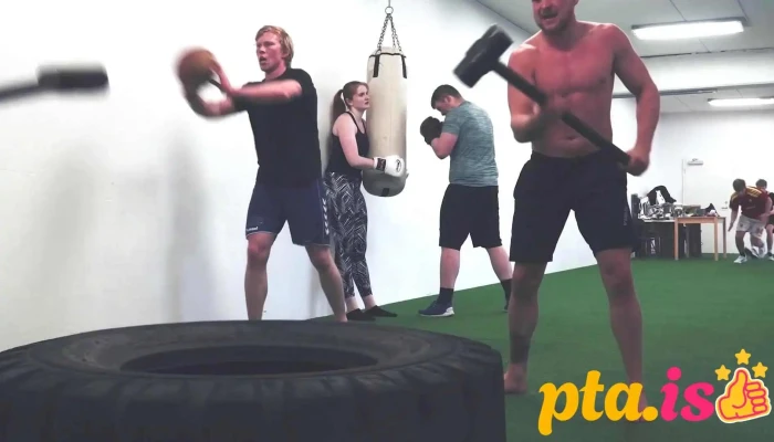 Reykjavik Mma Myndskeid - Reykjavík