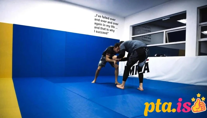 Reykjavík Mma - Reykjavík