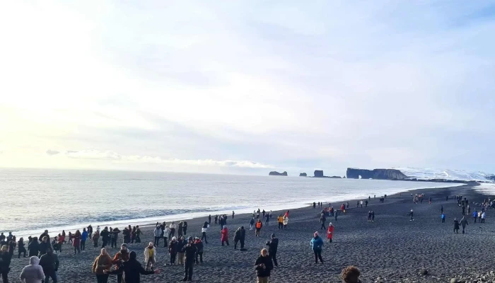 Reykjavik Sightseeing -  Staðsetning - Reykjavík