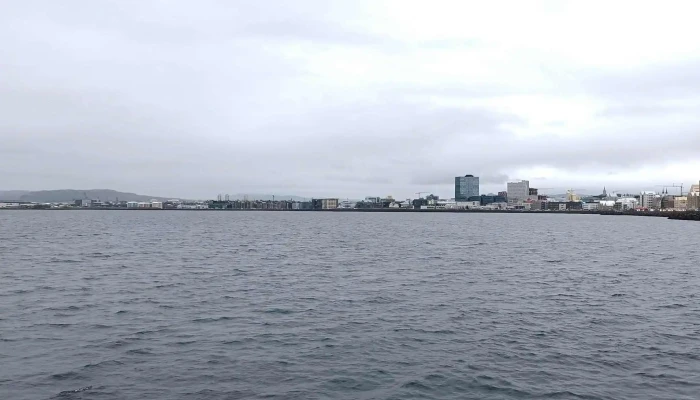 Reykjavikurhofn Vefsiða - Reykjavík