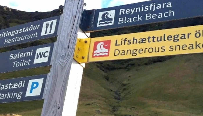 Reynisdrangar Cliffs -  Svæði - Vík