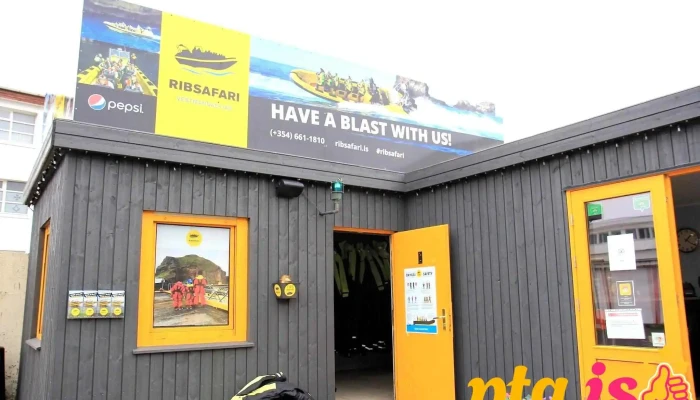 Ribsafari -  Naerumhverfi - Vestmannaeyjabær