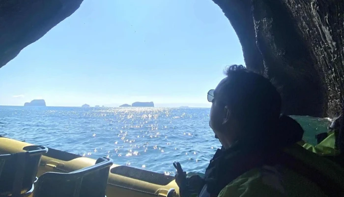 Ribsafari -  Verð - Vestmannaeyjabær