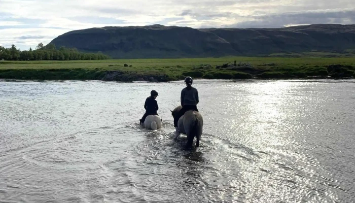 Riding Tours South Iceland -  Einkunn - Hruni