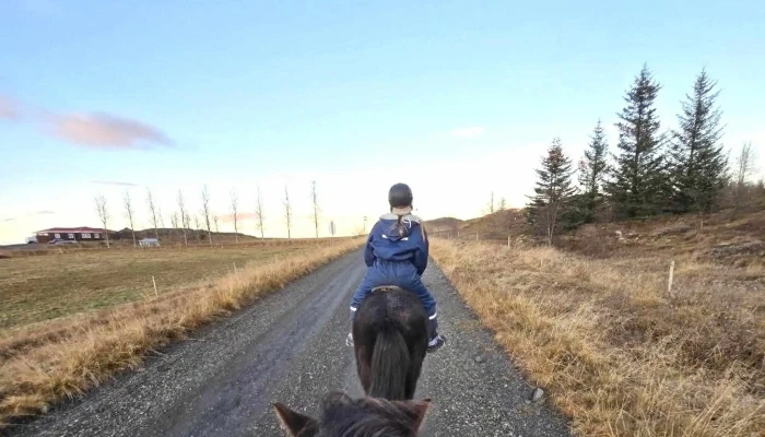 Riding Tours South Iceland -  Heimilisfang - Hruni