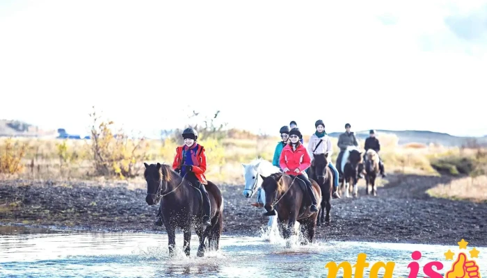 Riding Tours South Iceland -  Hestaleiga - Hruni