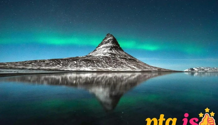 Roam Iceland - Iceland