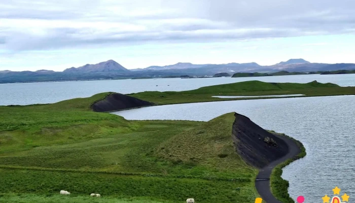 Safari Horse Rental -  Hestaleiga - Mývatn