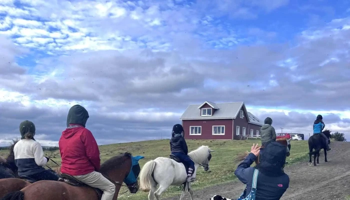 Safari Horse Rental -  Instagram - Mývatn