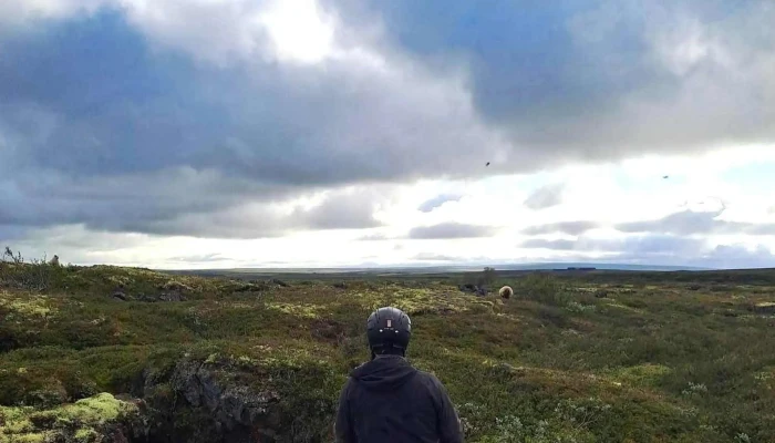 Safari Horse Rental -  Myndbond - Mývatn