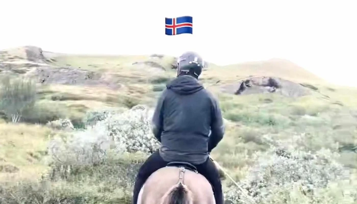 Safari Horse Rental -  Verð - Mývatn