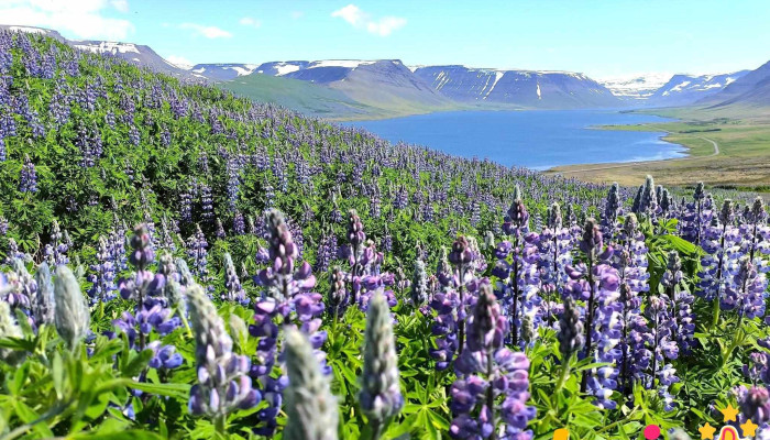 Sandafell bílastæði - 471