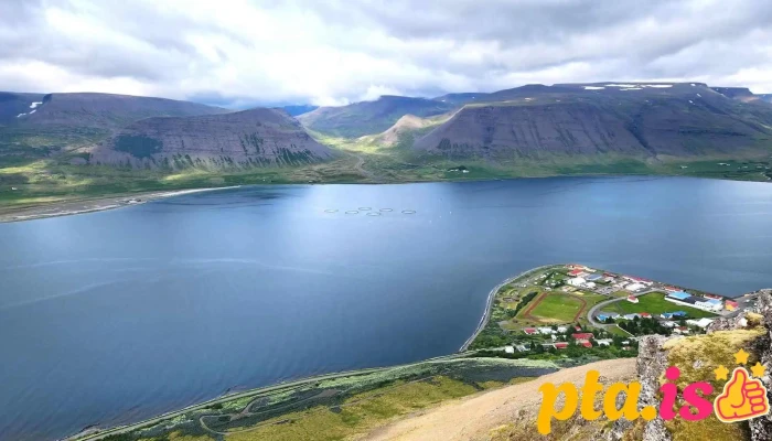 Sandafell -  Gongusvæði - Thingeyri