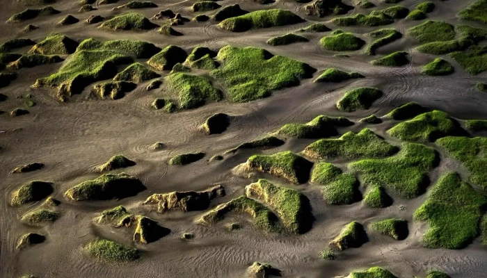 Sandvik Nalægt Mer - Iceland