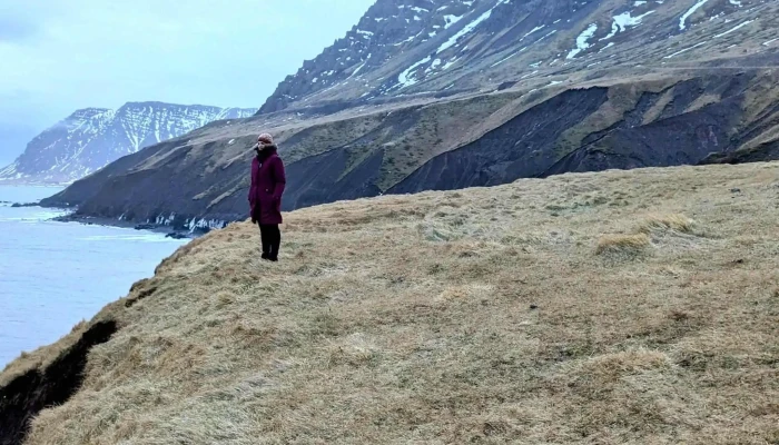 Saudanesviti Nalægt Mer - Siglufjörður