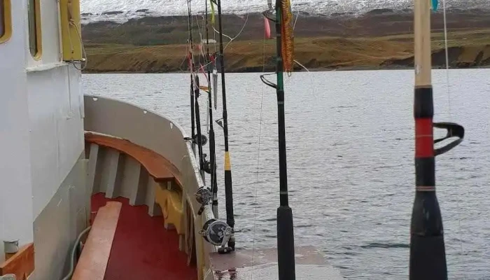Sela Retreat Naerumhverfi - Dalvík