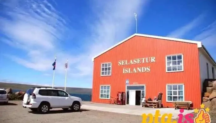 Selasetur Islands Fra Eiganda - Hvammstangi