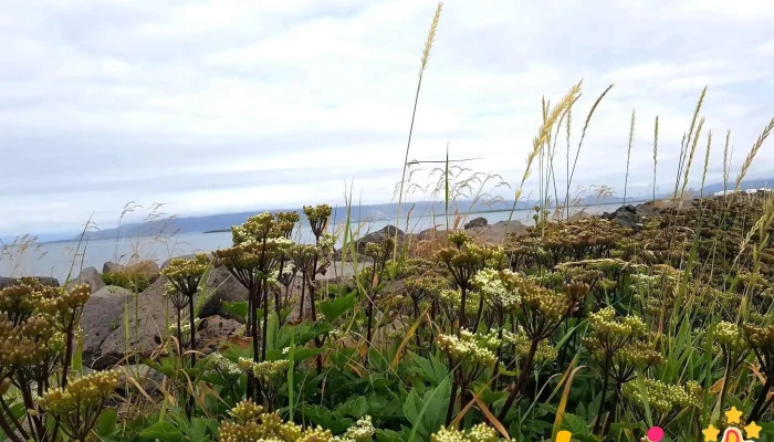 Seltjarnarnes -  Skagi - Seltjarnarnes