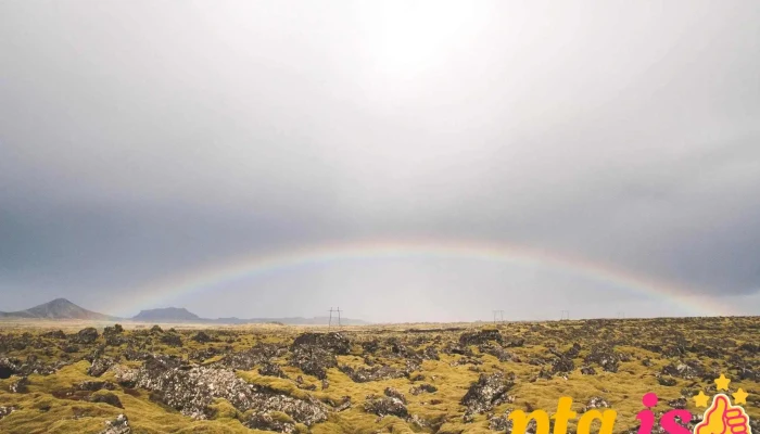 Seltjorn Nattura - Sólbrekkuskógarvegur