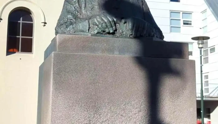 Sera Bjarni Jonsson Myndskeid - Reykjavík
