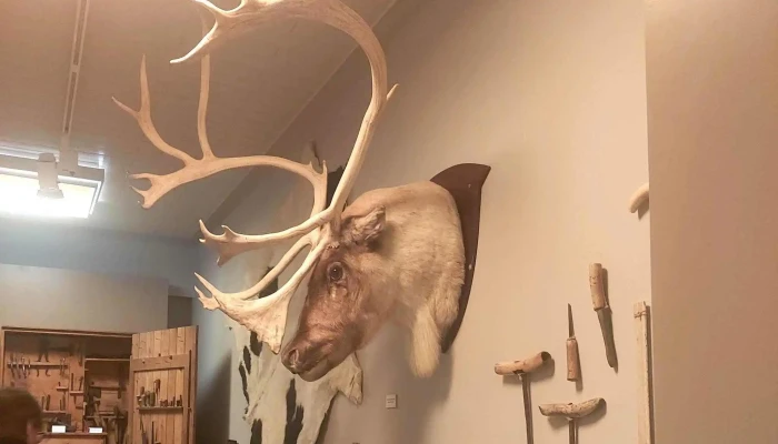 Sjominjasafnid A Husavik Athugasemdir - Húsavík