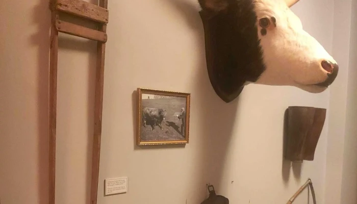 Sjominjasafnid A Husavik Instagram - Húsavík