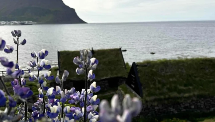 Sjominjasafnid Osvor Verð - Bolungarvík