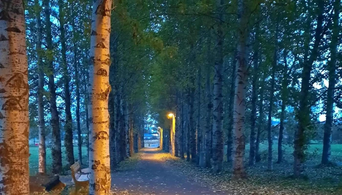 Sjóvá - Reykjavík