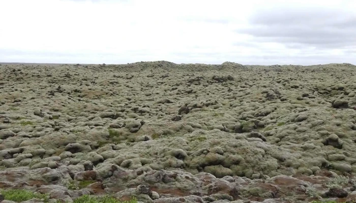 Skaftareldahraun -  Myndir - Kirkjubæjarklaustur