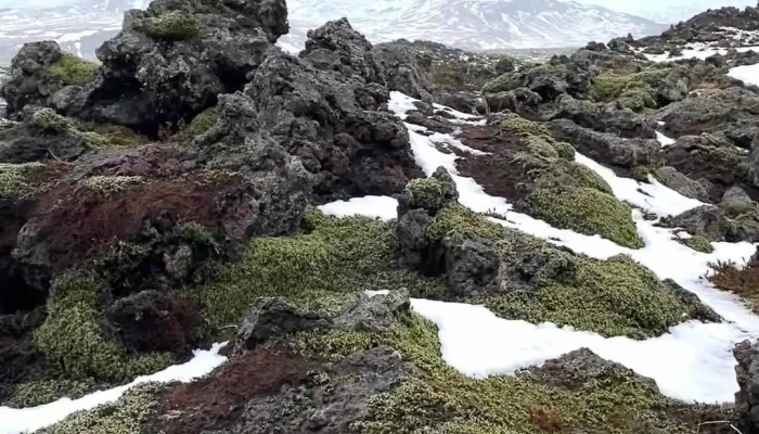 Skaftareldahraun -  Myndskeid - Kirkjubæjarklaustur