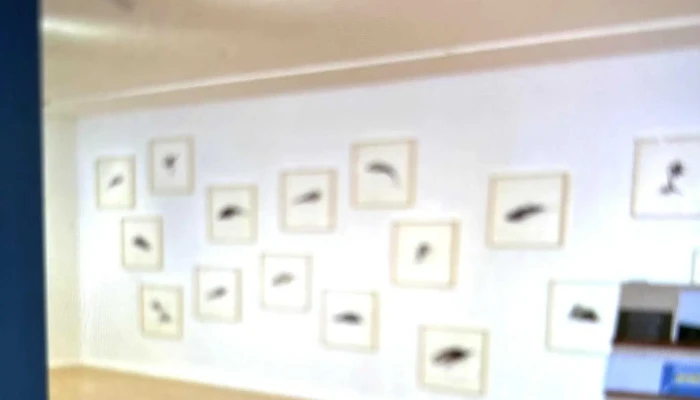 Skaftfell Art Center -  Numer - Seyðisfjörður
