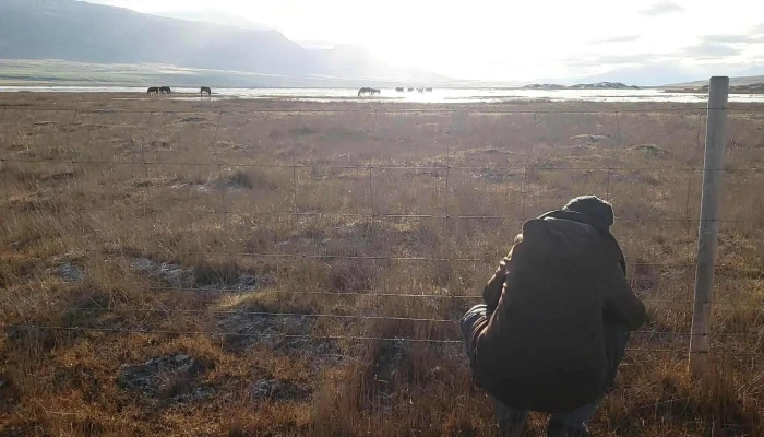 Skagafjordur Vefsiða - Iceland