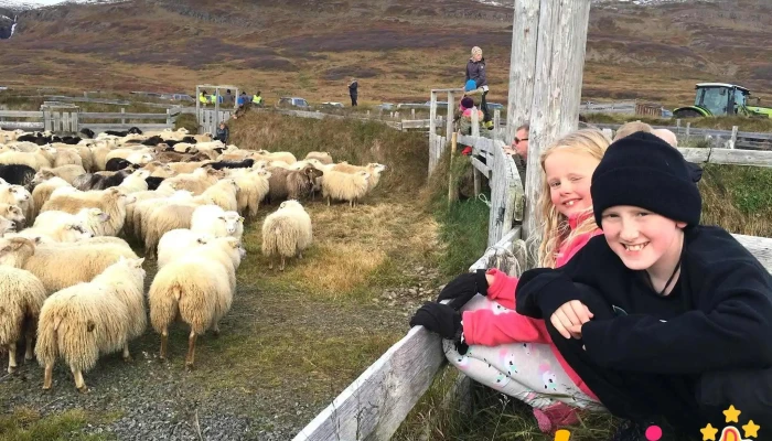 Skardsrett Ferðamannastaður - 643