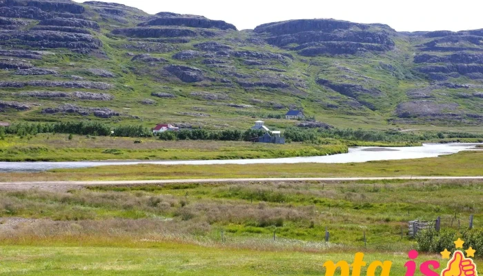Skardsrett Fjall - 643