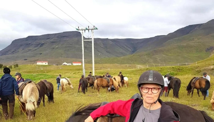 Skeggjastadir Farm Mosfellsbær - Mosfellsbær