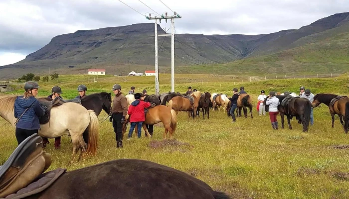 Skeggjastadir Farm Myndir - Mosfellsbær