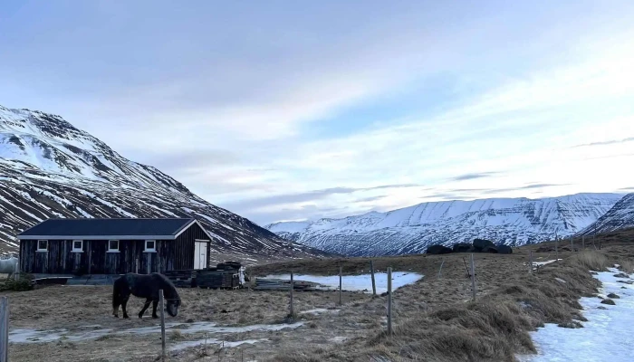 Skeid Svæði - Dalvík (rural Area, Skeið Vist - Skeid Lodge