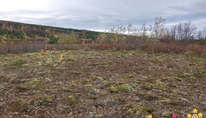 Skograekt Gardabaejar Leikvollur - Garðabær