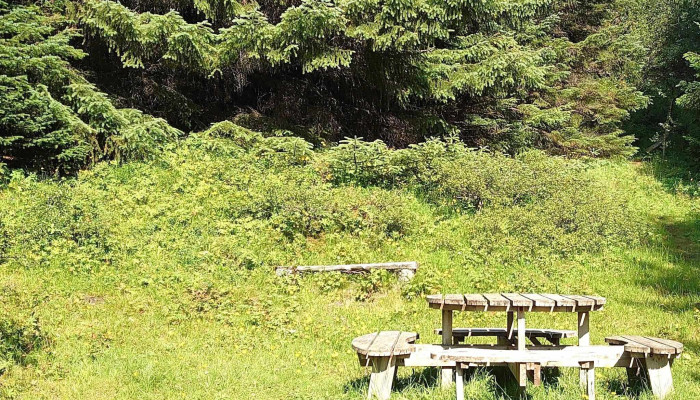 Skograektarfelag Hafnarfjardar Hafnarfjorður - Hafnarfjörður
