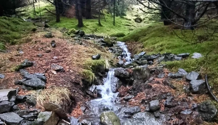 Skograektarfelag Mosfellsbaejar Hamrahlid Hvar - Vesturlandsvegur