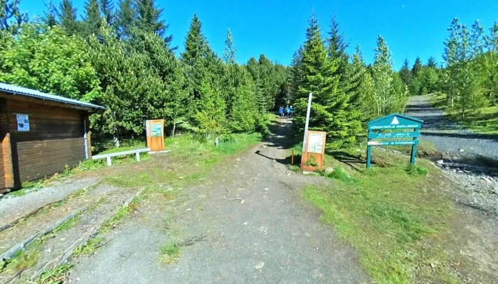 Skograektarfelag Mosfellsbaejar Hamrahlid Street View 360deg - Vesturlandsvegur