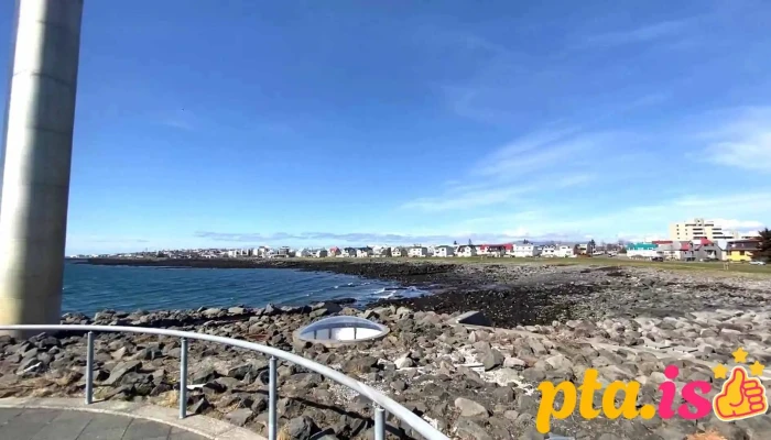 Skolpdaelustod Myndskeid - Reykjavík