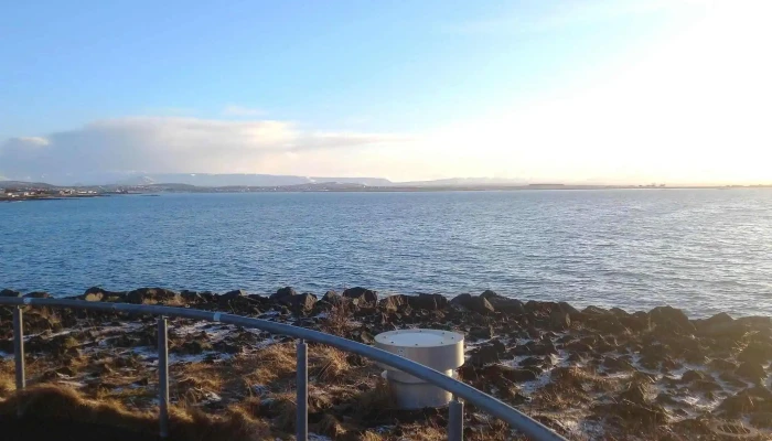 Skolpdaelustod Nalægt Mer - Reykjavík