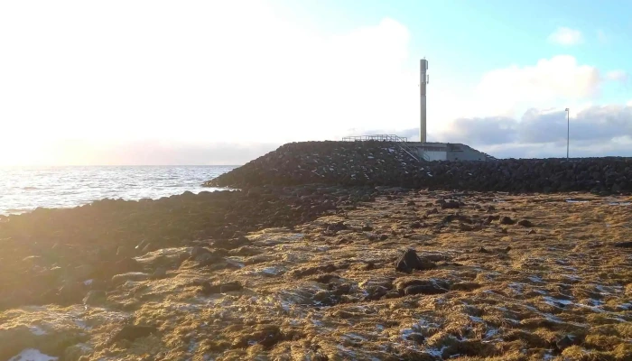 Skolpdaelustod Safn - Reykjavík
