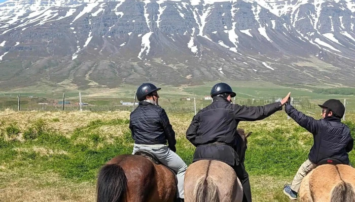 Skorrahestar -    Hestaleiga Og Gisting Instagram - Neskaupstaður