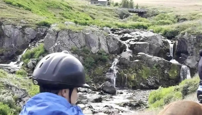 Skorrahestar -    Hestaleiga Og Gisting Myndskeid - Neskaupstaður
